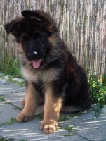 /album/a7-weeks/stenka-b-vrh-103-jpg/